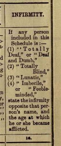 1911 Census column showing infirmity categories